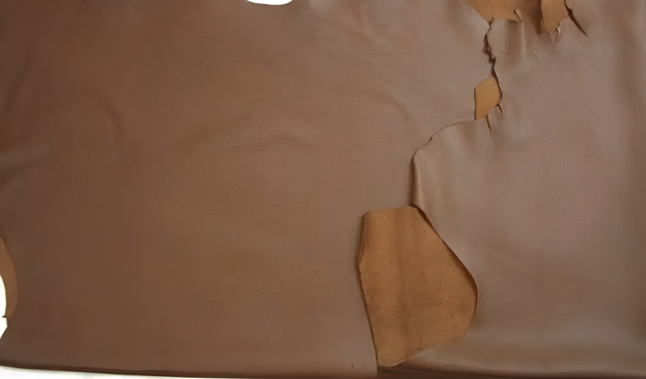 International Leather manufacturing overview